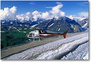 Denali Helicopter Excursion